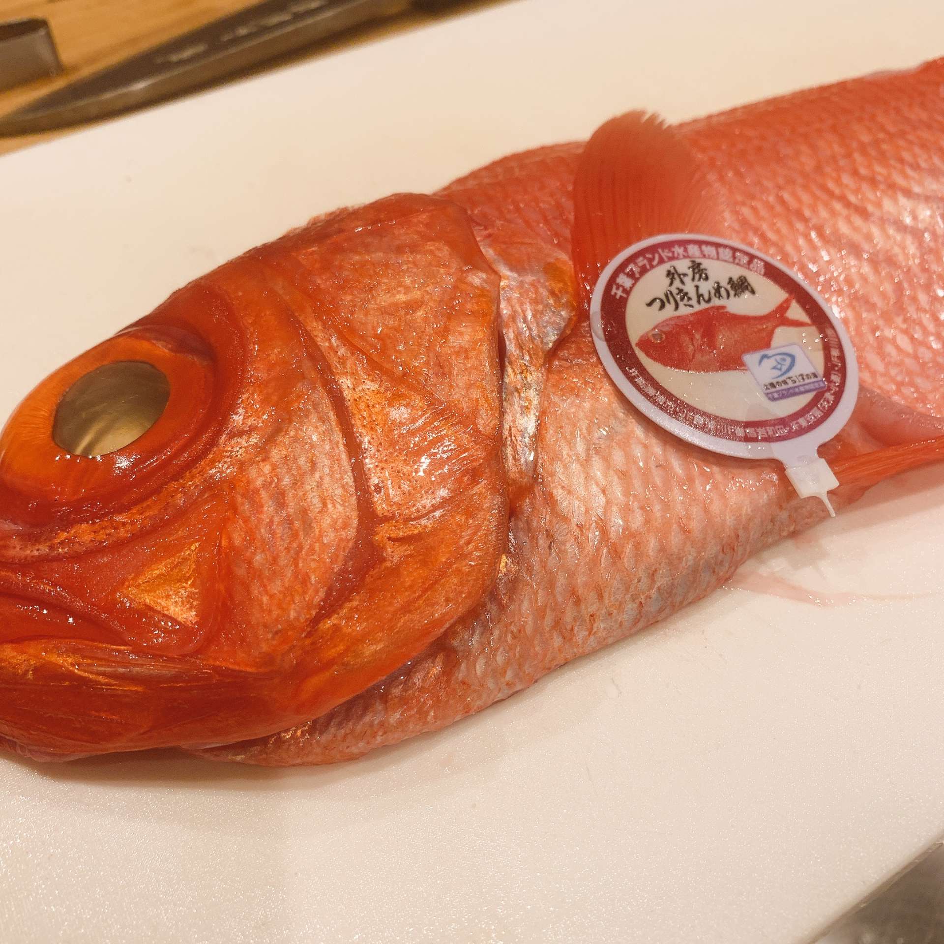 釣り金目鯛が入荷‼️福島区の和食・日本酒|しゅん須佐見